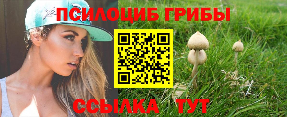 Моздок  Псилоцибиновые грибы мицелий  Вход с VPN 