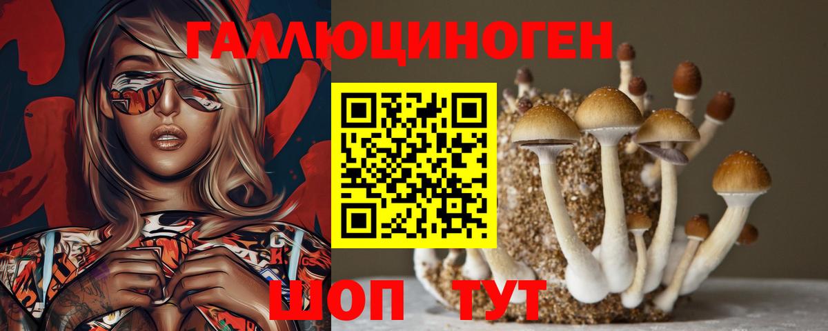 Галлюциногенные грибы Cubensis Моздок